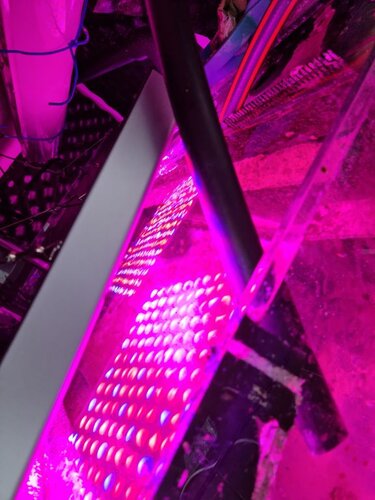 Ny belysning i refugium, 30 W * 2