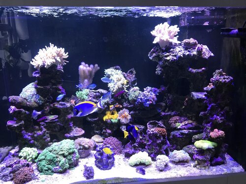 648BC2DA-2D0F-4FDA-BED9-2FEC1D877374.jpeg (173.85 KiB) Vist 3326 gange Fts