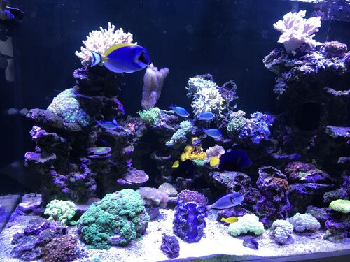 9D2C39CE-9C34-4335-BEBE-C1E33464A81D.jpeg (171.05 KiB) Vist 3326 gange Fts