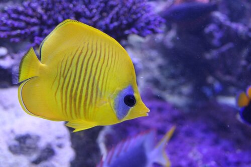 IMG_0808.JPG