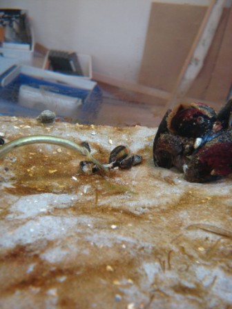 DSC00772-kopi.JPG