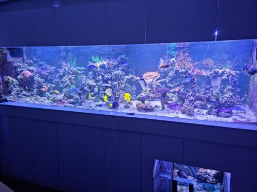 Display FTS.jpg