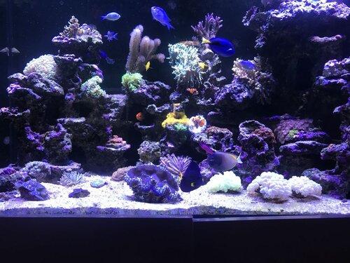 530BCD52-AAB8-4F54-A1DA-47E1B5A0BD46.jpeg (161.7 KiB) Vist 3179 gange Nye tider