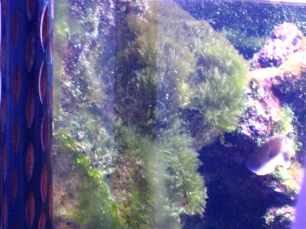 IMG_2892 (Small).JPG