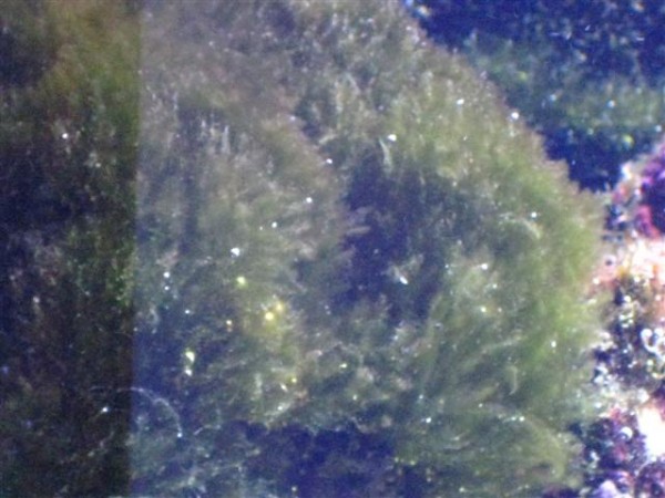 IMG_2891 (Small).JPG