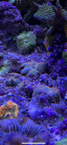 87696916-F260-4F61-9EBA-64C59A3788EB.png
