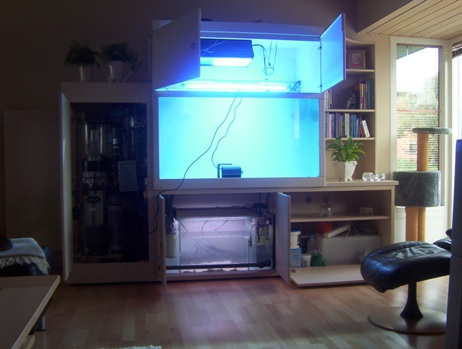 2004 aquarium build
