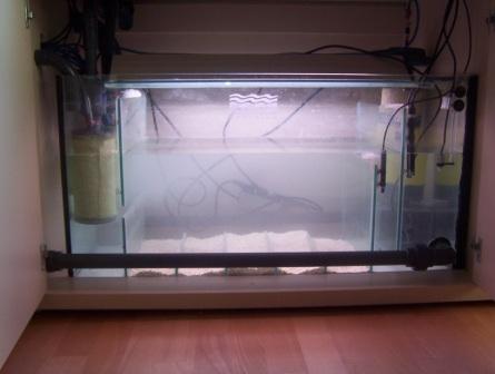 2004 aquarium build