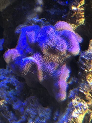 3A402456-4A0F-4552-8432-BB53291D28AB.jpeg