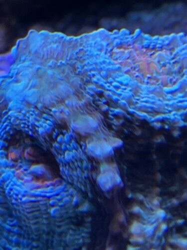 EDFF586D-B7FF-4E50-B910-F59054A7CF5C.jpeg