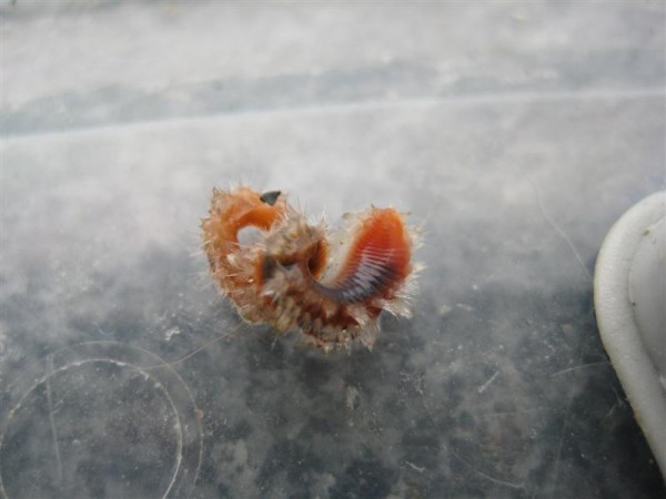 IMG_1268 (Medium).jpg