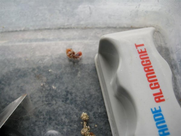 IMG_1269 (Medium).jpg