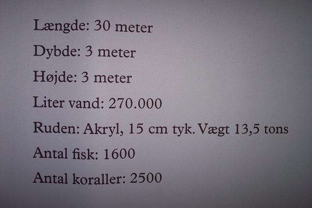 100_2789.JPG