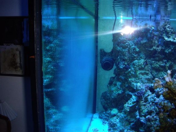 Billede 022 (Small).jpg