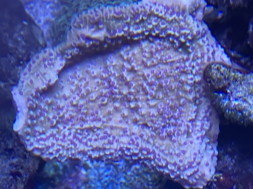 EF631890-355E-4989-BBDD-29FDE5FE18B6.jpeg