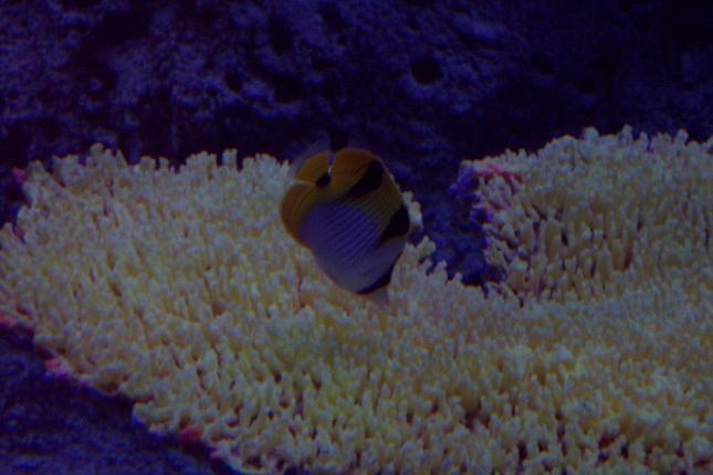 100_2798.JPG