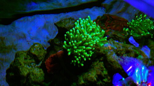 771B3991-A8A5-4FC6-B6D9-AE1E95D3504D.jpeg