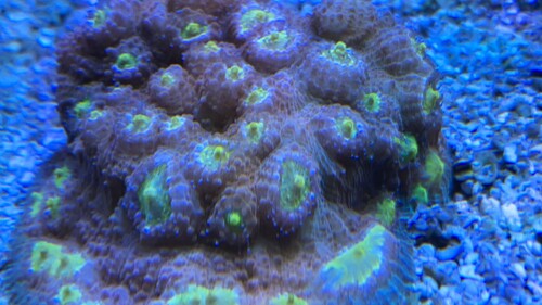 A0E766EF-E318-4F80-AF55-687CFE0D5A57.jpeg