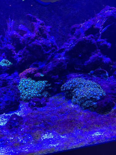 F59C5072-0BB3-479B-ADF2-D8F2AD1D79F6.jpeg