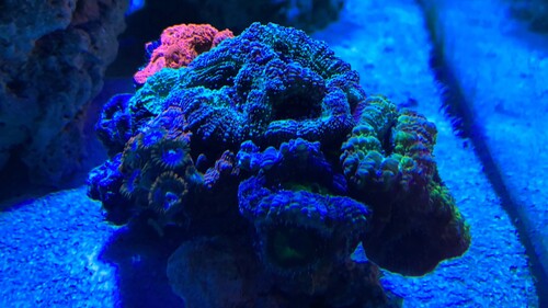 1D522C06-2159-48A3-A8AB-CF52AE223331.jpeg