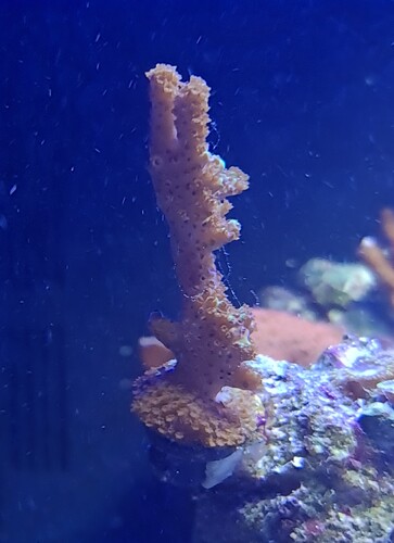 20230402_184049.jpg