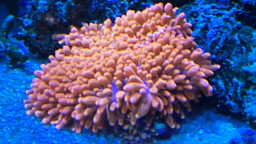 IMG_1713.JPG