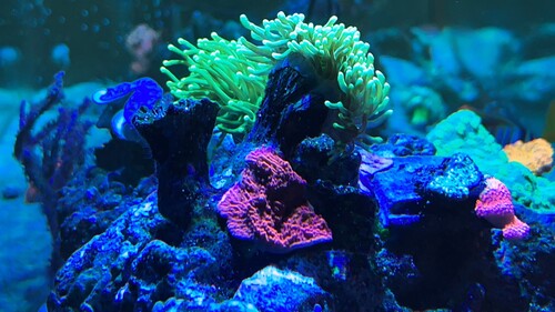 IMG_1707.JPG