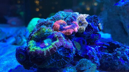 IMG_1690.JPG