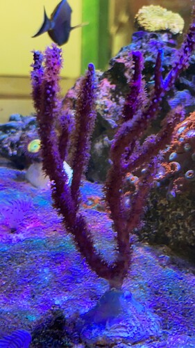 IMG_1680.JPG