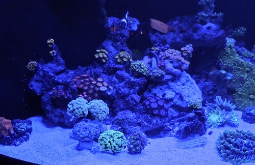 IMG_20230416_202833.jpg
