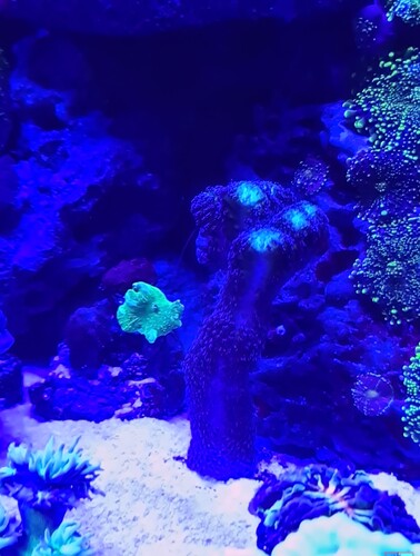 IMG_20230416_221605.jpg
