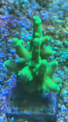 IMG_0578.jpeg