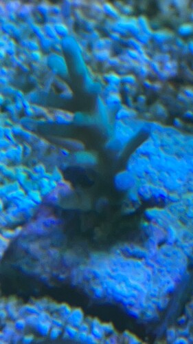 IMG_0579.jpeg