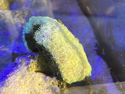 C2938521-E718-4963-81EE-93D3AEA302D4.jpeg