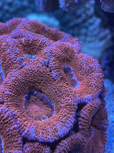 9CE7116C-F73A-46BC-8212-39B99BDF03D7.jpeg