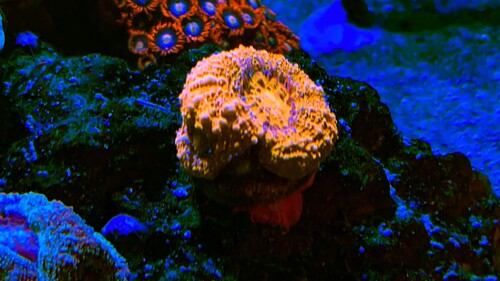 IMG_1901.jpeg