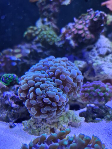 20230519_174554.jpg