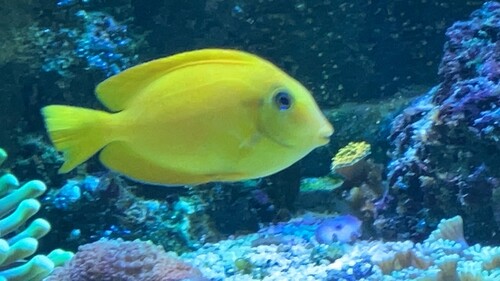 IMG_0733.jpeg