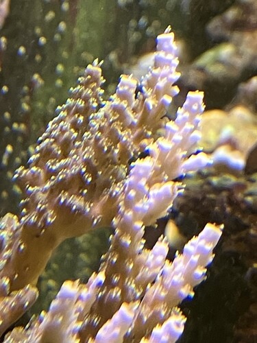 IMG_0803.jpeg
