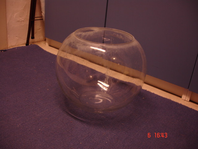 bowle.jpg