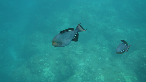 DSC03653.JPG