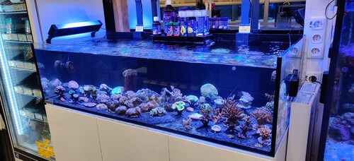 IMG_20230624_115738.jpg