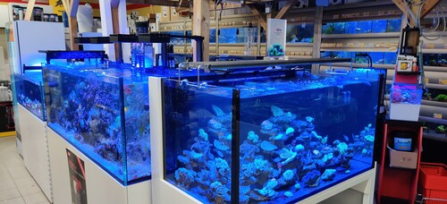 IMG_20230624_115749.jpg