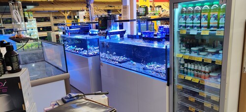 IMG_20230624_121612.jpg