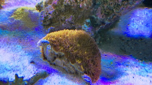 IMG_2355.jpeg