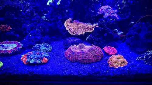 IMG_4820.jpeg