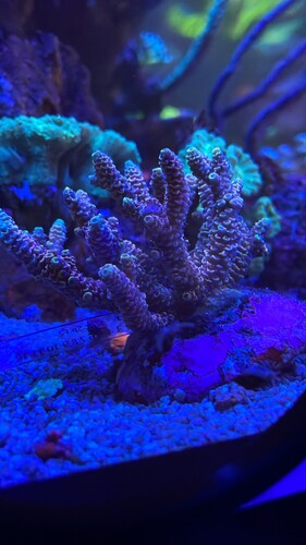 IMG_2280.jpeg