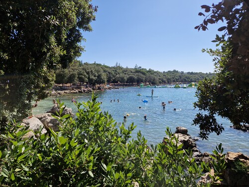 20230802_161633.jpg