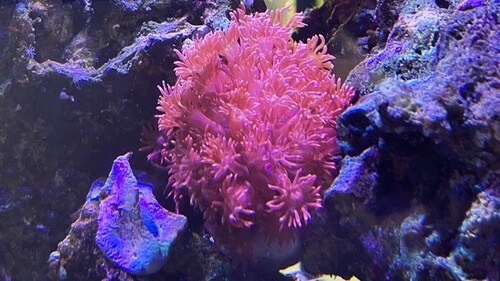 IMG_2627.jpeg