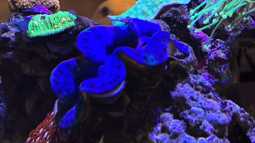 IMG_2612.jpeg